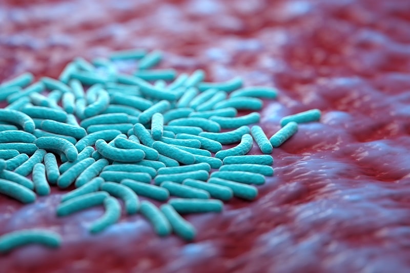 Pourquoi les probiotiques sont-ils les alliés de notre système digestif