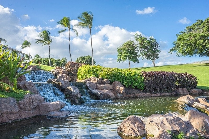 Vacances à Hawaii : 3 activités touristiques immanquables à faire
